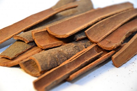 Idukki Cinnamon Stick (दालची) "Karuvapatta" (കറുവപ്പട്ട)